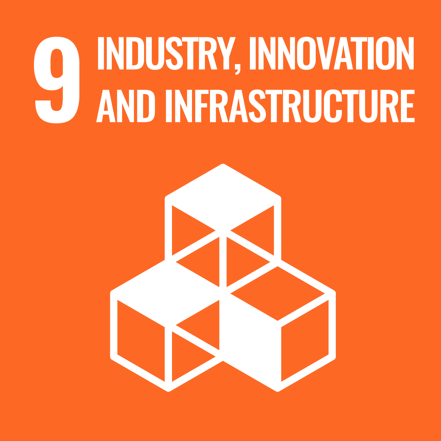 SDG Goal